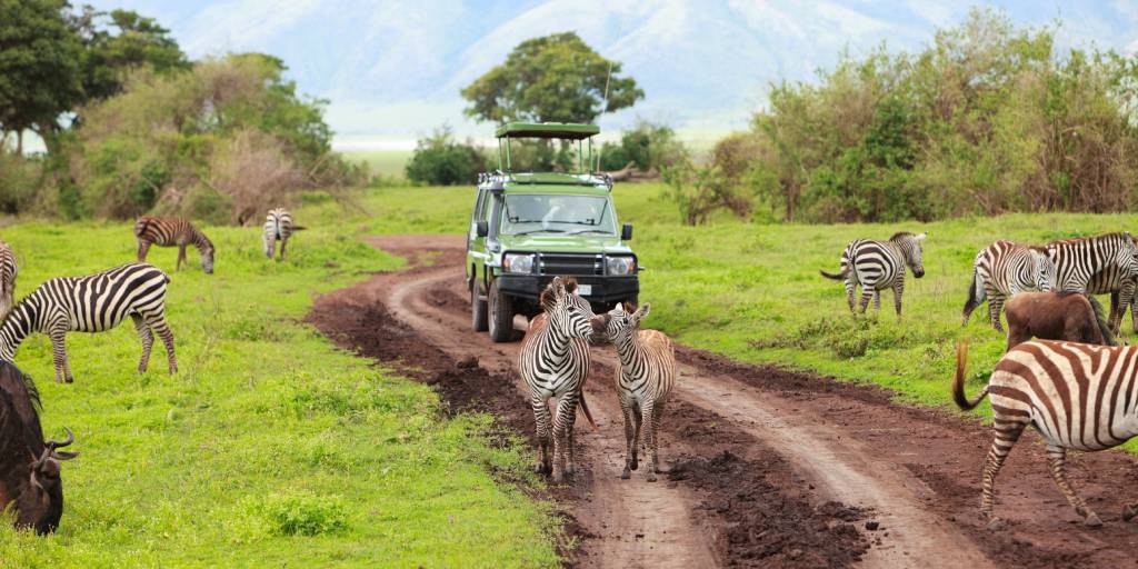 ¿Quién no desea recorrer los mejores parques de toda África? Con este viaje organizado a Tanzania y Kenia podrás hacer tus sueños realidad. 1