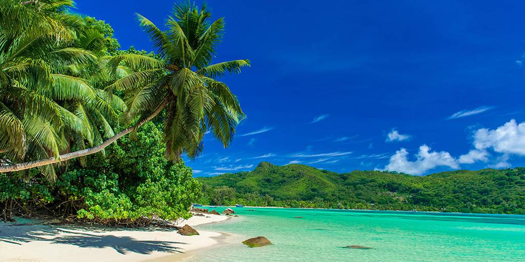 Disfruta de una isla menos masificada que las demás con este viaje de luna de miel a Seychelles, una escapada romántica al paraíso terrenal. 6