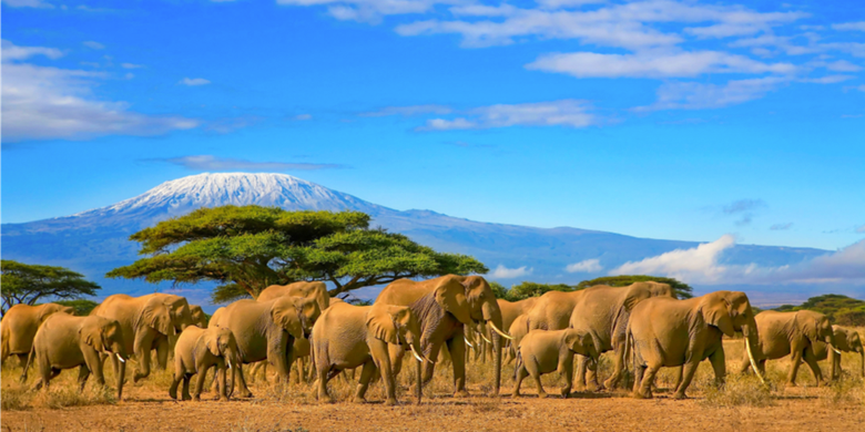 Viaje de safari por Kenia durante 10 días